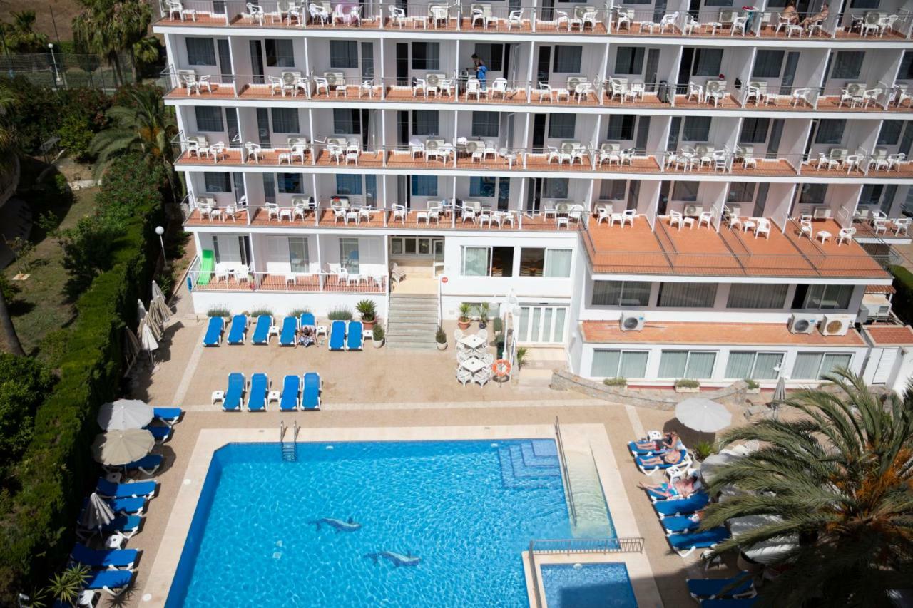 Hotel Don Miguel Playa 플라야 데 팔마 외부 사진